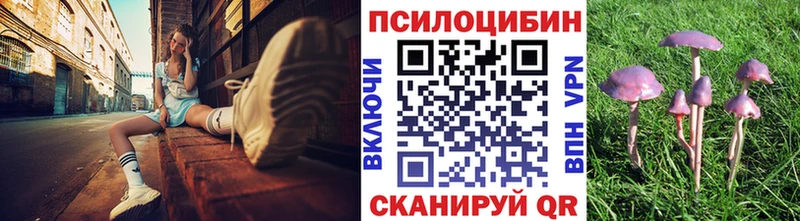 Псилоцибиновые грибы Psilocybe  Тихвин 